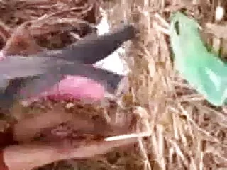 शुक्रवार एचडी सेक्सी मूवी हिंदी में को उसे बाहर निकाल दिया