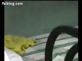 megamara एचडी सेक्सी मूवी हिंदी