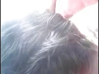 थाई स्ट्रीट गर्ल खुद के गुदा रस प्यार करता हिंदी फिल्म सेक्सी एचडी में है