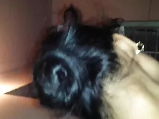 गर्म क्यूबा सेक्स एचडी सेक्सी मूवी हिंदी में