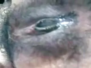 मासूम सेक्सी बेब झुकता है और हिंदी सेक्सी एचडी वीडियो मूवी गड़बड़