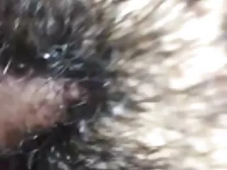 विक्सएक्सएक्स और टोनी मार्टिनो सेक्सी मूवी एचडी हिंदी