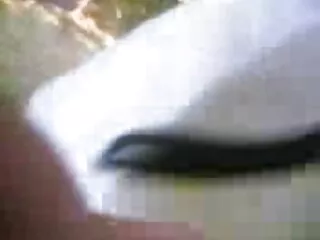 अब तक का सबसे शानदार मिल्फ़ स्लट !!! हिंदी सेक्सी एचडी मूवी (ब्लोइंग फैन्स टू !!)