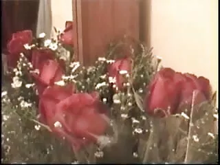 लोनली वाइफ सेक्सी फिल्म फुल एचडी सेक्सी हैव्स हेरी स्नैच लीक्ड